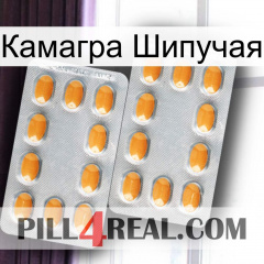 Камагра Шипучая cialis4